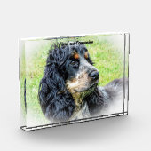 Cocker Spaniel. Fotoblokken (Links)