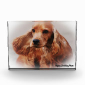 Cocker Spaniel. Fotoblokken (Voorkant)