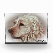 Cocker Spaniel. Fotoblokken (Voorkant)