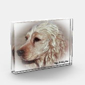 Cocker Spaniel. Fotoblokken (Links)