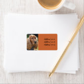 Cocker Spaniel-fotolabel Etiket (Insitu)