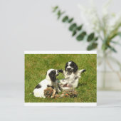 Cocker Spaniel Fun Briefkaart (Staand voorkant)