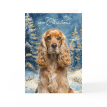 Cocker Spaniel-hond en blauwe winterdennenbos