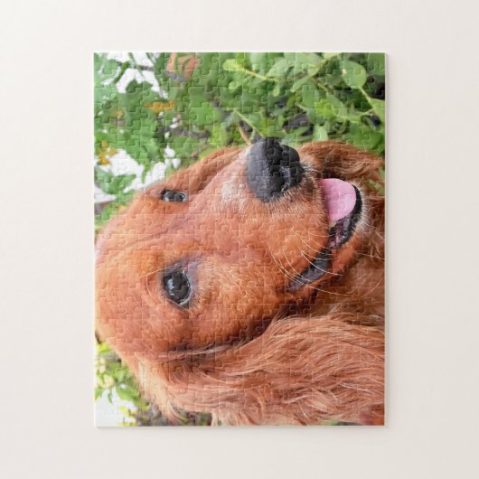 Cocker Spaniel Hond Legpuzzel (Verticaal)