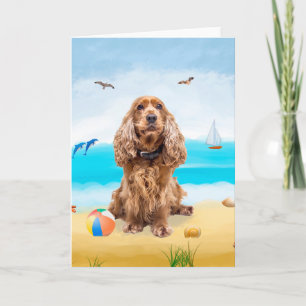 cocker spaniel hond op strand kaart