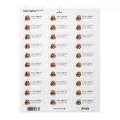 Cocker Spaniel-hond retouradreslabels Etiket (Full Sheet)