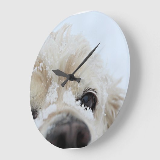 Cocker Spaniel in de sneeuw Grote Klok (Hoek)