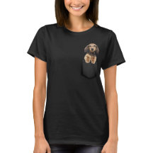 Cocker Spaniel in Pocket, Grappige Cocker Spaniel