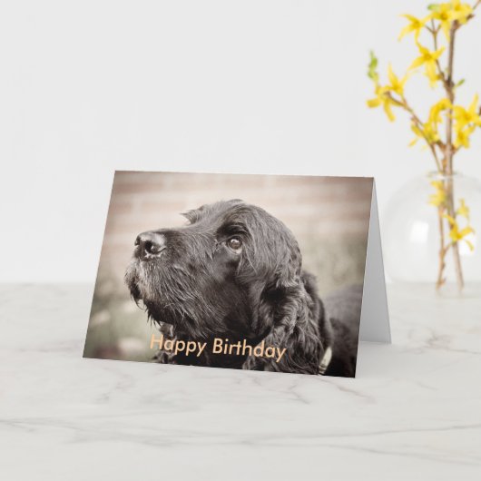 Cocker Spaniel Kaart (Gele Bloem)