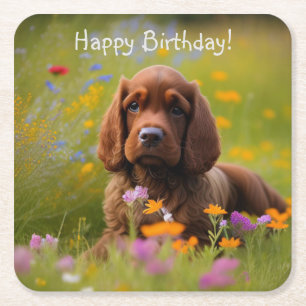 Cocker Spaniel Kartonnen Onderzetters