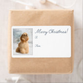 Cocker Spaniel-kerstcadeautjes Etiket (Insitu)