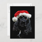 Cocker Spaniel Kerstmis Feestdagenkaart (Voorkant / Achterkant)