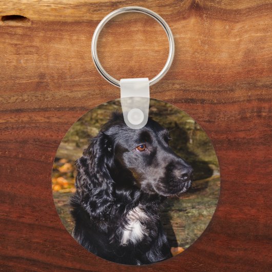 Cocker Spaniel Keyring Sleutelhanger (Voorkant)