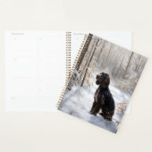 Cocker Spaniel Laat het sneeuwen Kerstmis Planner (Display)