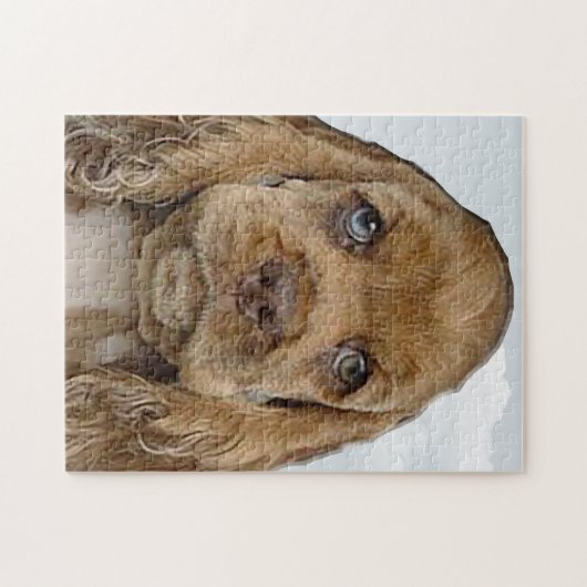Cocker spaniel legpuzzel (Horizontaal)