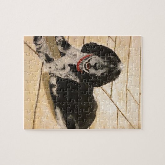 Cocker Spaniel Legpuzzel (Horizontaal)