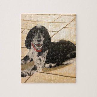 Cocker Spaniel Legpuzzel