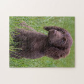 Cocker Spaniel Legpuzzel (Horizontaal)