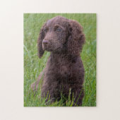 Cocker Spaniel Legpuzzel (Verticaal)