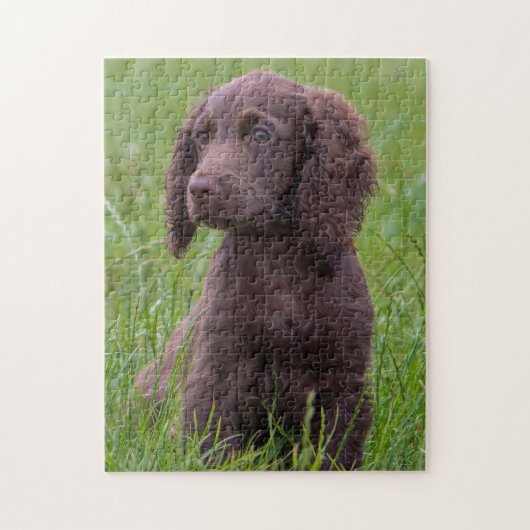 Cocker Spaniel Legpuzzel (Verticaal)