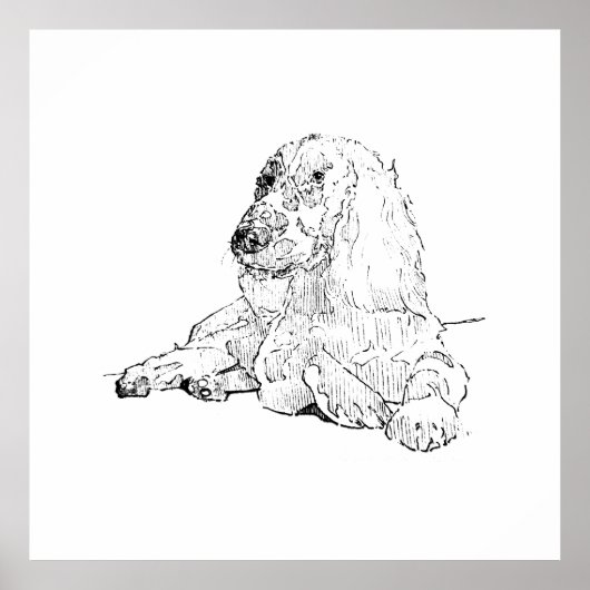 Cocker Spaniel Lijntekening Kunst Hond  Poster (Voorkant)