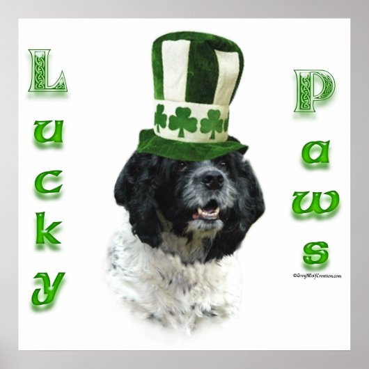 Cocker Spaniel Lucky Paws Poster (Voorkant)