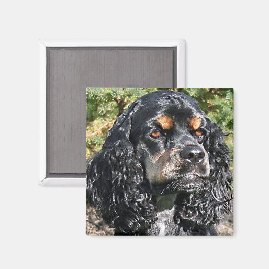 Cocker Spaniel Magneet (Voorkant / Achterkant)