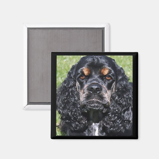 Cocker Spaniel Magnet (Voorkant / Achterkant)