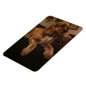 Cocker Spaniel Magnet Magneet (Linkerzijde)