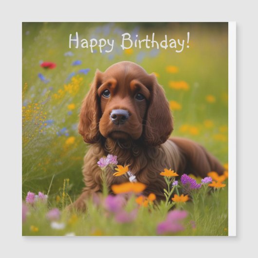 Cocker Spaniel Magnetische Kaart (Voorkant)