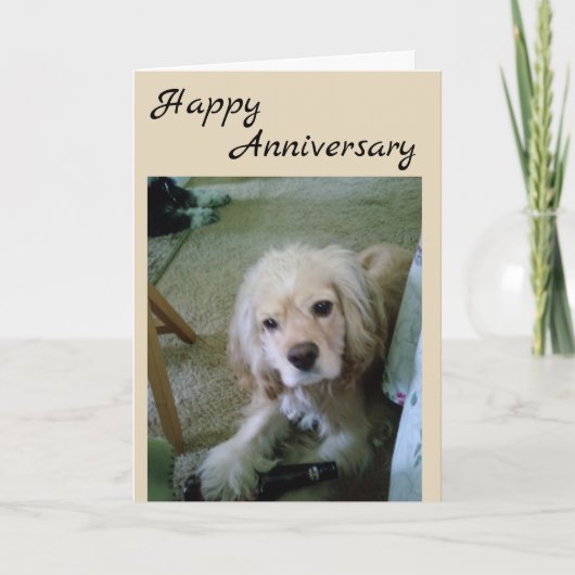 COCKER SPANIEL MET BIER-GELUKKIGE TROUWDAAG KAART (Voorkant)