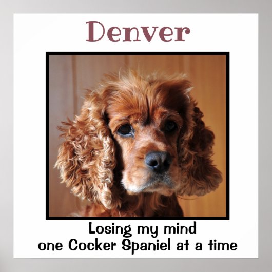 Cocker Spaniel met prijsaanduiding Custom Wall Art Poster (Voorkant)