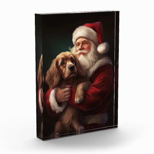 Cocker Spaniel Met Sinterklaas Feestelijke Kerstmi Fotoblokken (Links)