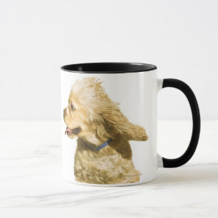 Cocker Spaniel Mok