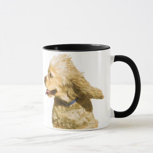 Cocker Spaniel Mok (Rechts)