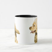 Cocker Spaniel Mok (Midden)