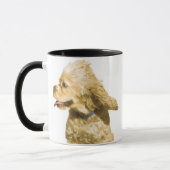 Cocker Spaniel Mok (Links)