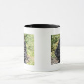 Cocker Spaniel Mok (Midden)