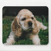 cocker spaniel muismat (Voorkant)