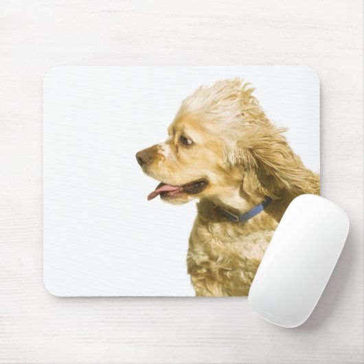 Cocker Spaniel Muismat (Met muis)