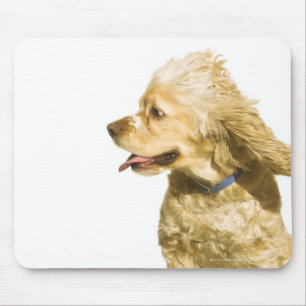 Cocker Spaniel Muismat