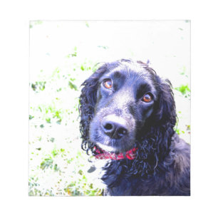 Cocker Spaniel Notitieblok