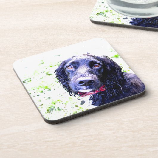 Cocker Spaniel Onderzetter (Linkerzijde)