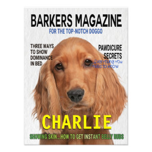 Cocker Spaniel Parody Magazine Hoesje Foto Afdruk