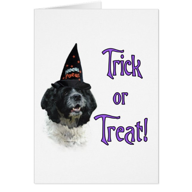 Cocker Spaniel (parti) Trick (Voorkant)