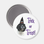 Cocker Spaniel (parti) Trick Magneet (Voorkant / Achterkant)