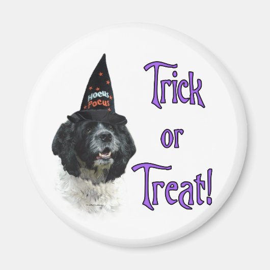 Cocker Spaniel (parti) Trick Magneet (Voorkant)