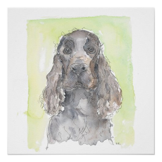 Cocker Spaniel Perfect Poster (Voorkant)