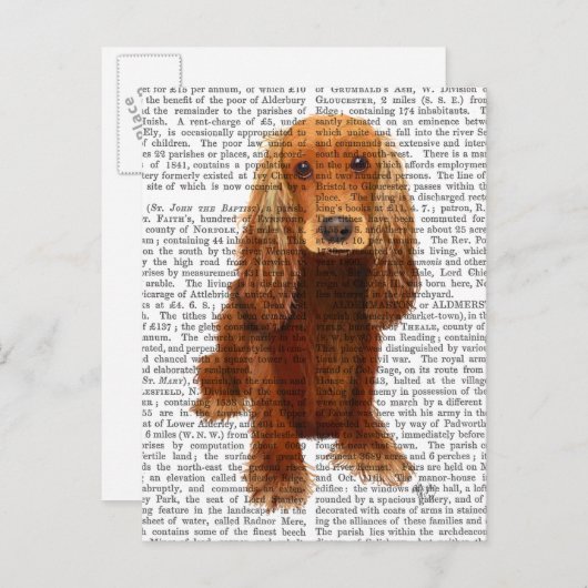 Cocker Spaniel Plain Briefkaart (Voorkant / Achterkant)