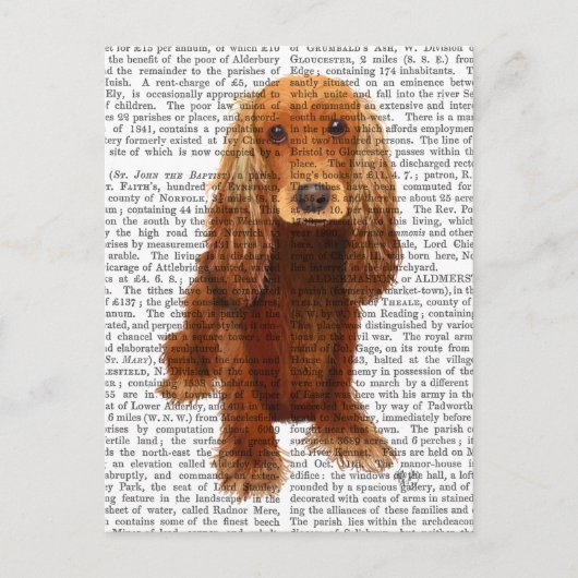 Cocker Spaniel Plain Briefkaart (Voorkant)